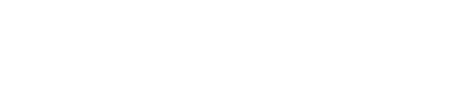 Casinomega logo white